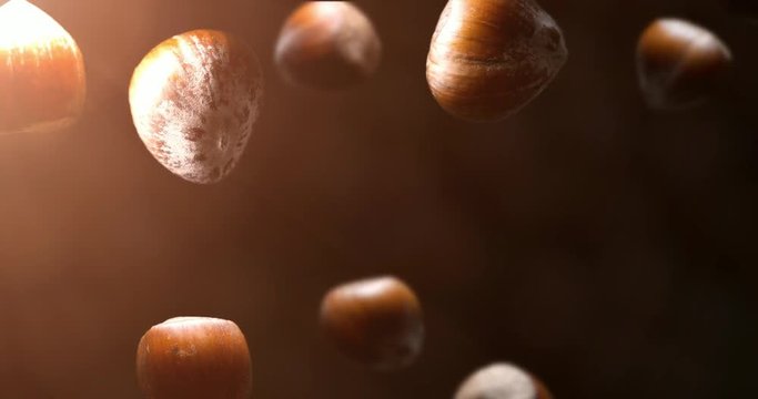 hazelnut falling in slow motion prores footage nuts brown food