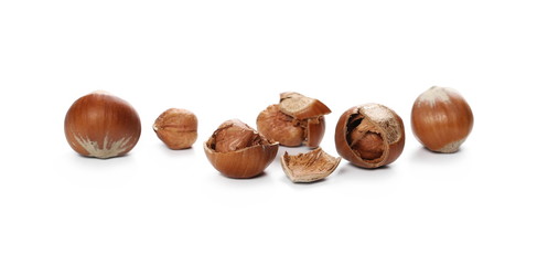 Hazelnuts isolated on white background