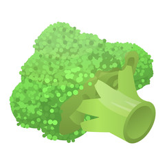 Fresh broccoli icon. Isometric of fresh broccoli vector icon for web design isolated on white background