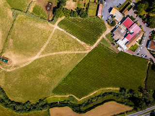Fototapeta premium Top view of the tea plantation on San Miguel island, Azores, Portugal.