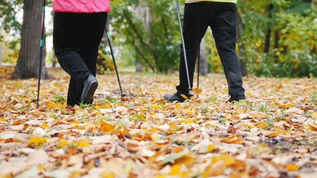 Two elderly women are doing Scandinavian walking in the park. Feet.