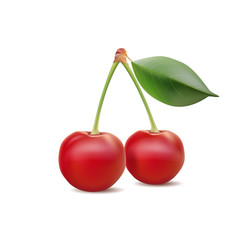 cherry isolated on white background, realistic vector cherry
