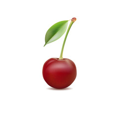 cherry isolated on white background, realistic vector cherry