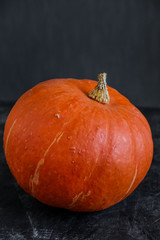 Orange pumpkin