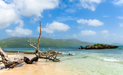 Playa Rincon: Antillen, Karibik, Ferien, Tourismus, Sommer, Sonne, Strand, Auszeit, Meer, Glück, Entspannung, Meditation, Palmen, Mangroven: Traumurlaub an einem einsamen, karibischen Strand :)