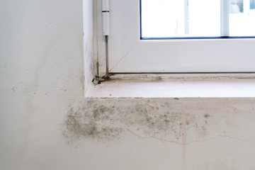 Black mold on white window sill and wall. Poor ventilation, humidity, condensation cause fungus on...