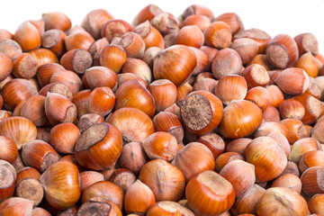 Heap of nuts hazelnuts