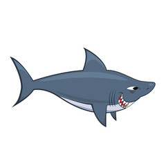 Cute shark cartoon illustration