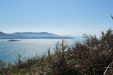 ocean view from an island