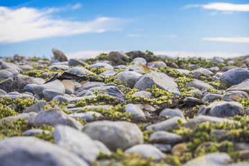 Pebbles on a beach on a warm summers day.