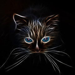 silhouette of a glowing cat's muzzle with blue eyes