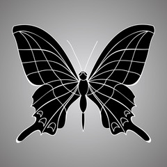 vector, isolated, black butterfly silhouette, icon