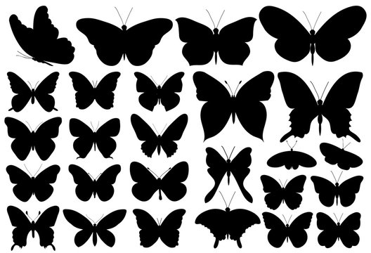butterfly, black silhouette, set