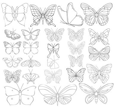 set book coloring butterfly, large collection