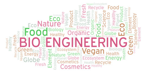 Bio Engineering word cloud.