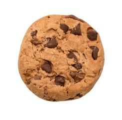 Chocolate chip cookie - 225501942