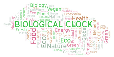 Fototapeta premium Biological Clock word cloud.
