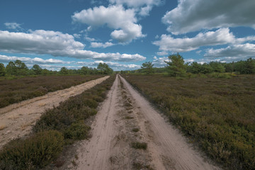 Fototapeta na wymiar Kyritz-Ruppiner Heide, Landschaft am Tage, Wanderweg
