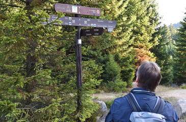 Wegweiser im Harz