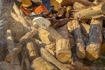 The worker works with a chainsaw. Chainsaw close up. Woodcutter saws tree with chainsaw on sawmill. Chainsaw in action cutting wood. Man cutting wood with saw, dust and movements.