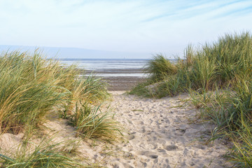 Fototapeta na wymiar Dunes at the beach of Schillig, Lower Saxony, Germany