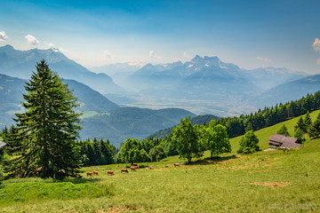 Leysin Alps