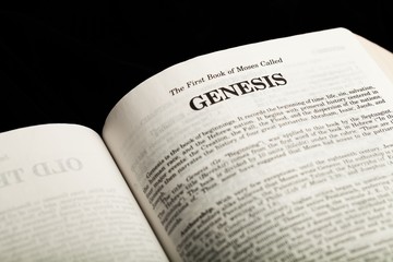 In the beginning God created