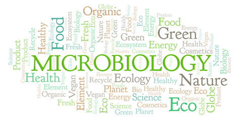 Fototapeta premium Microbiology word cloud.
