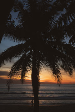Silhouette of palm tree over beautiful tropic sunset at the beach in Thailand