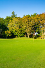 ゴルフコース パッティンググリーン