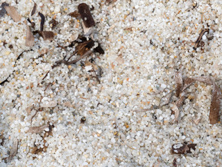 Is Arutas beach, Sardinia, Italy, Europe. Is Arutas is known as the beach of the grains of rice.
