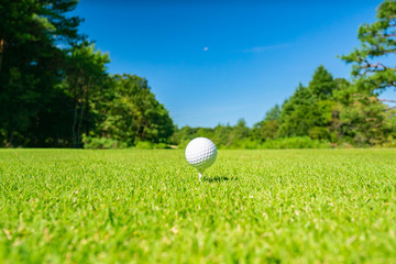 ゴルフ場 ゴルフボール ティアップ