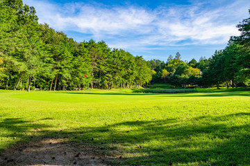 ゴルフコース パッティンググリーン