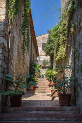 Narrow street with plant covered buildings in San Gimignano, Italy