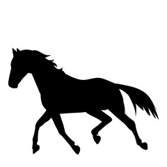  silhouette horse running