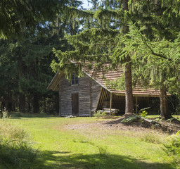 Old wooden mountain house log cabin built from wood in spruce tree forest on summer sunny day