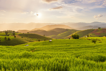 Kleines Haus und Reisterrassen-Feld bei Pabongpaing Village Reisterrassen Mae-Jam Chiang Mai, Thailand