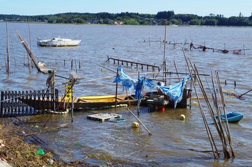 Fototapeta premium 湖に浮かぶ漁具