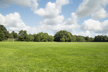 Wide green meadow