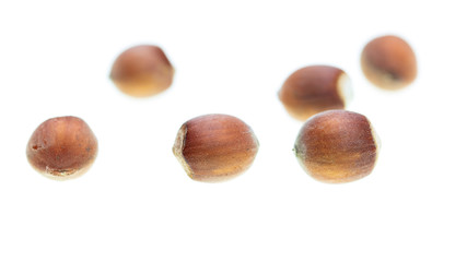 Ripe hazelnut nuts isolated on white background