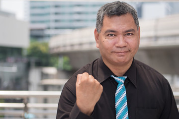 strong successful old south east business man; portrait of happy, strong, successful southeast asian businessman with grey hair; 50s old asian man model