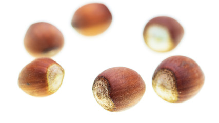 Ripe hazelnut nuts isolated on white background