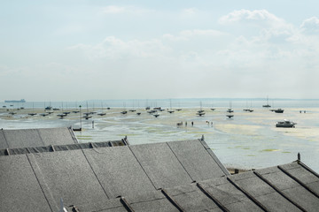 Obraz premium Low tide sea view