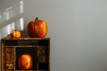 Autumn decoration on white with copy space. Pumpkins