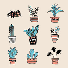 Collection of hand drawn plants in a pot.  Vector illustrations in sketch doodle style.