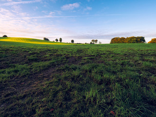 Obraz premium Early Autumn countryside morning,Northern Ireland