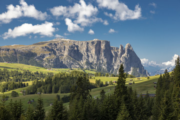 Naklejka premium Au der Seiser Alm in Südtirol, Italien