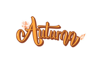 Autumn handwritten lettering with decoration. Vector illustration.