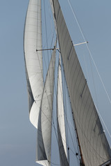 Fototapeta premium Sail