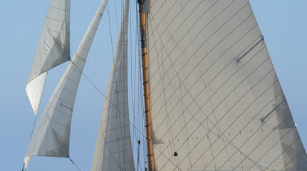 Obraz premium Sail